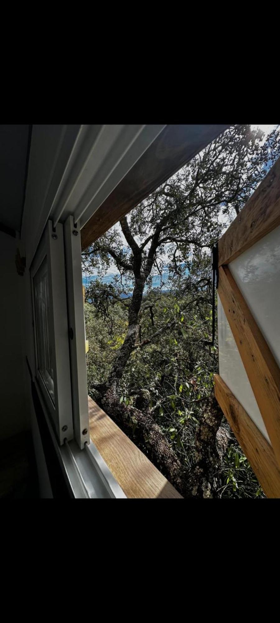 Cabana Del Arbol Lavagarural Villanueva del Rosario ภายนอก รูปภาพ