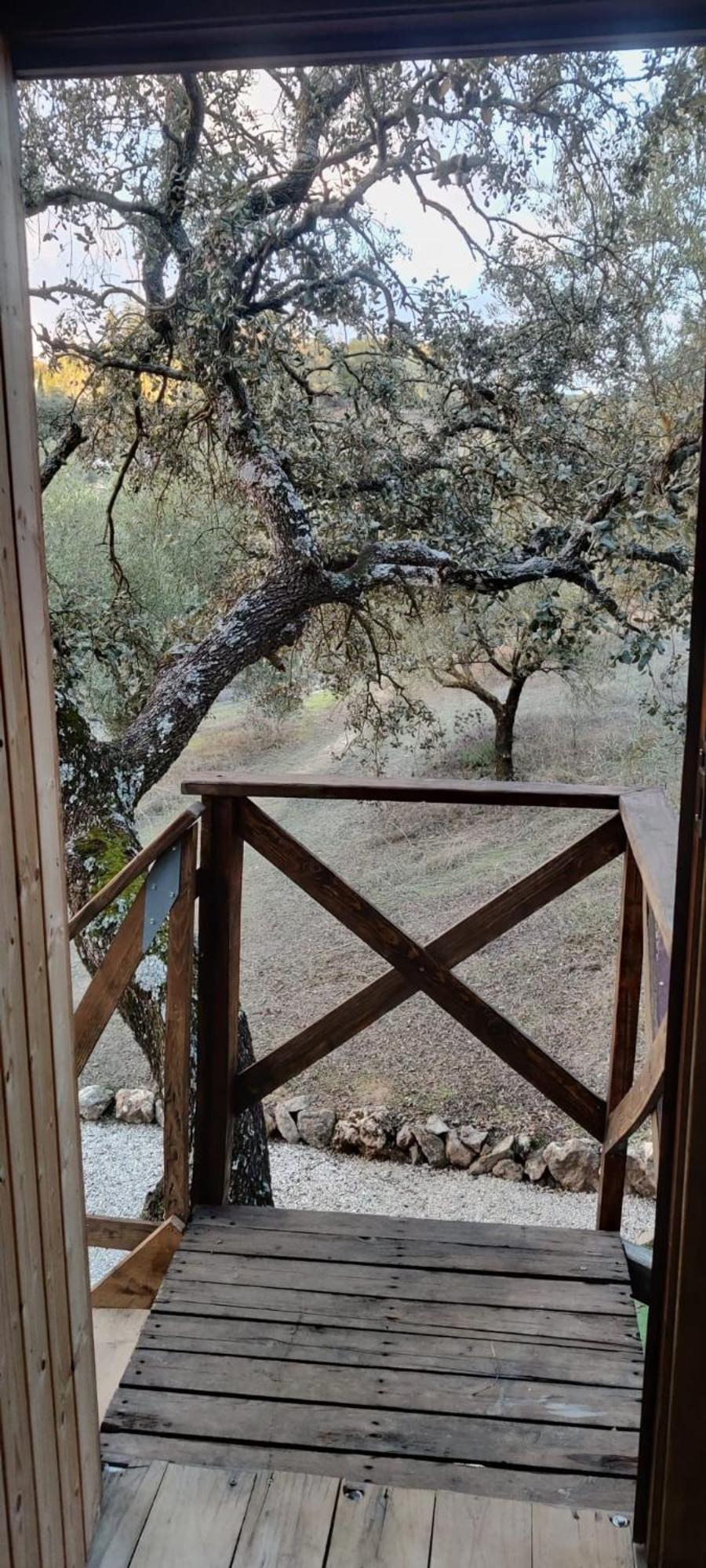 Cabana Del Arbol Lavagarural Villanueva del Rosario ภายนอก รูปภาพ