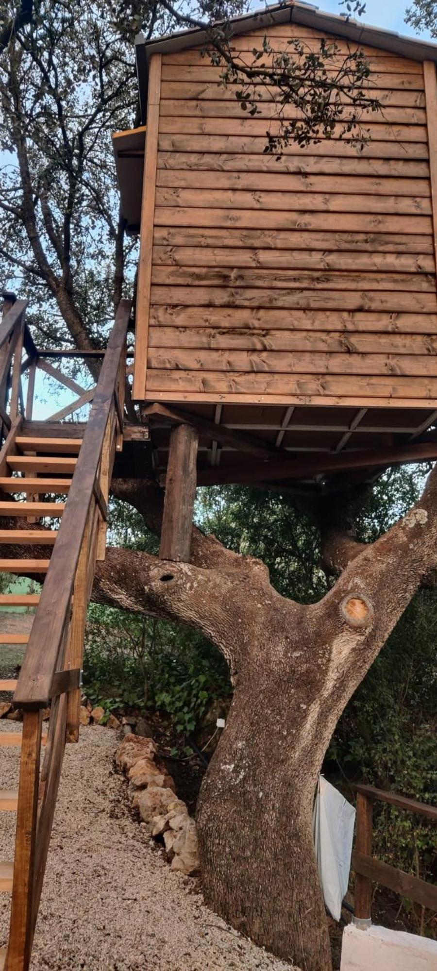 Cabana Del Arbol Lavagarural Villanueva del Rosario ภายนอก รูปภาพ